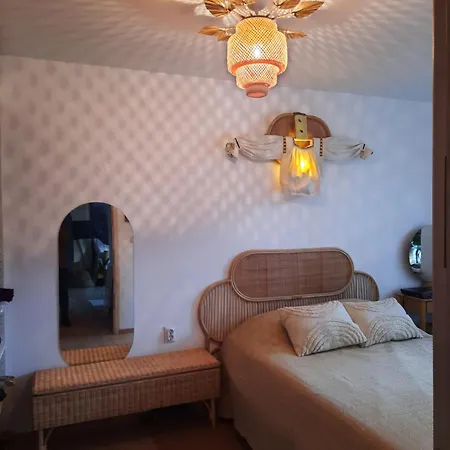 Apartment Apartamentul Cu Flori Cluj-Napoca