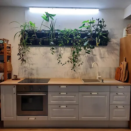 Apartment Apartamentul Cu Flori Cluj-Napoca