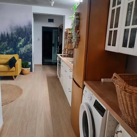 Apartamentul Cu Flori * Cluj-Napoca