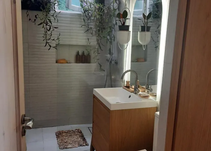 Apartamentul Cu Flori Apartment