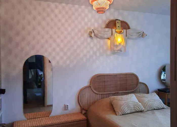 Apartment Apartamentul Cu Flori Cluj-Napoca