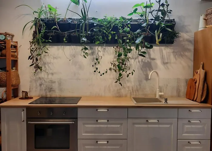 Apartment Apartamentul Cu Flori Cluj-Napoca