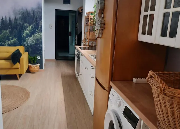 Apartamentul Cu Flori * Cluj-Napoca